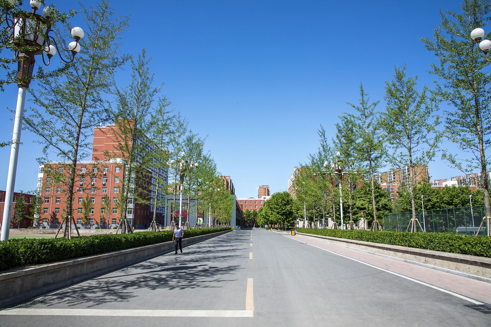 联考中国港澳台联考北京校区：北京电影学院 | 2025年港澳台侨联招本科招生简章