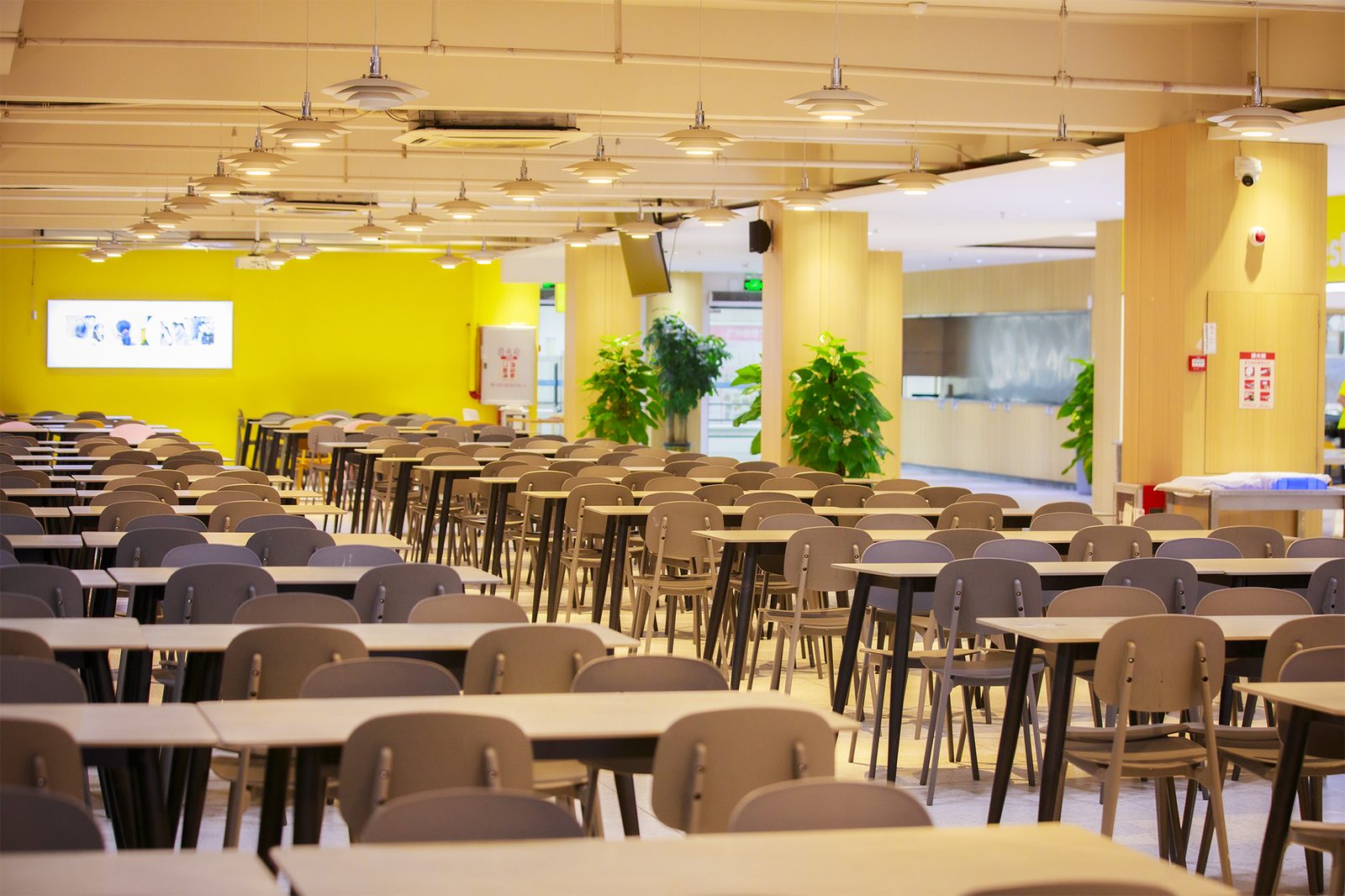 夏越港澳台联考强化班：港澳台联考文科选专业别大意，这3大专业分数线持续走高！